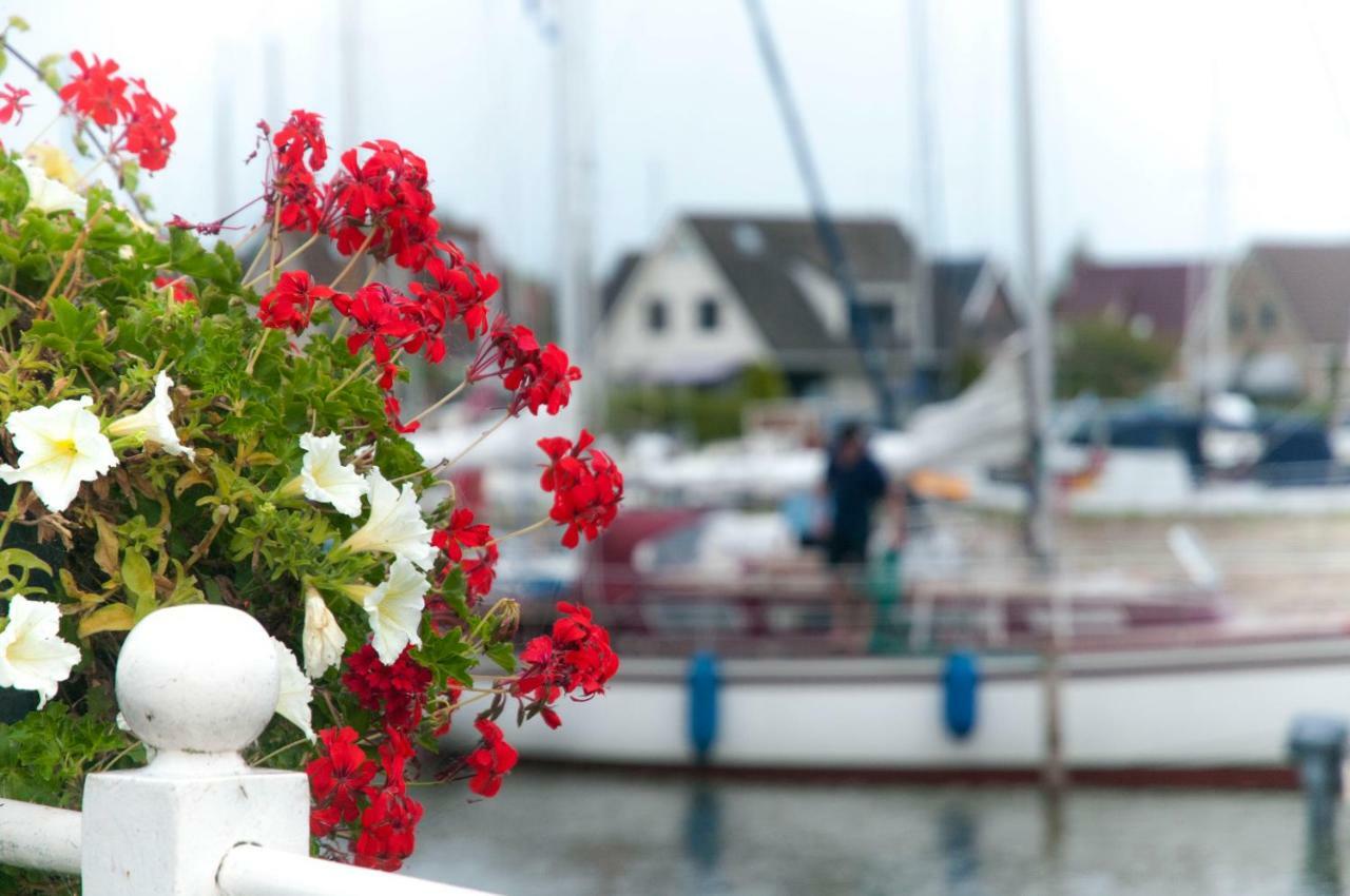 Heerlijk Huis Aan Het Ijsselmeer Stavoren Extérieur photo