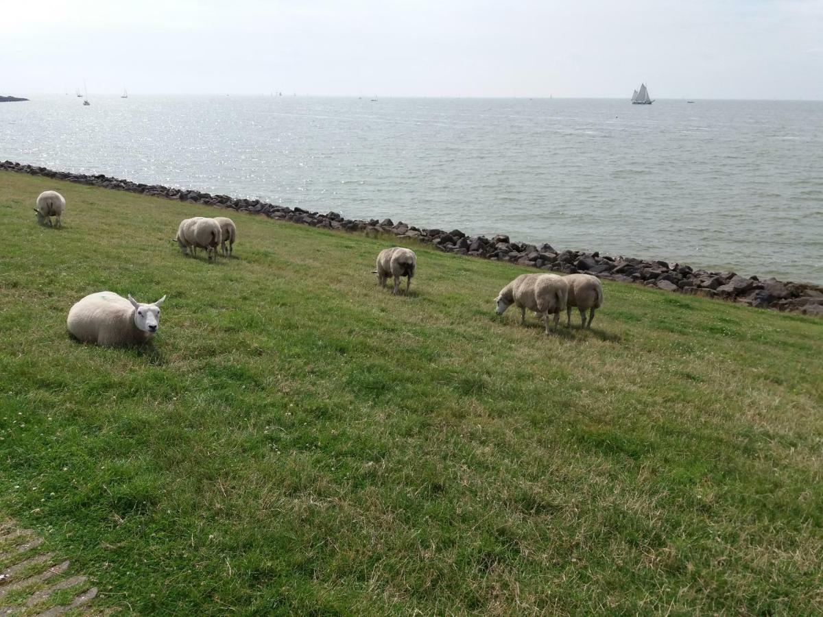 Heerlijk Huis Aan Het Ijsselmeer Stavoren Extérieur photo